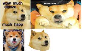 Doge Meme Tynker