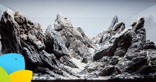 Sebagai tanaman aquascape, menanam singapore moss membutuhkan tingkat pencahayaan yang sedang dan juga memerlukan asupan co 2.pun juga dengan suhu air yang sejuk di bawah 30° celcius. Aquascape Galery Jenis Jenis Pasir Aquascape