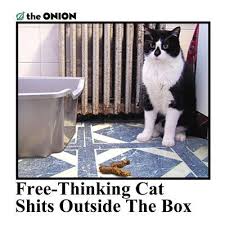 Pin On Cat Shit