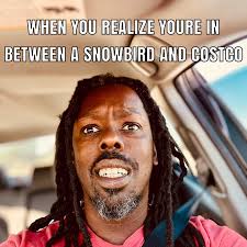 Florida snowbird season #florida #meme #floridian #omgitswicks