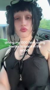 Lawn Care Tips Inspired by a Cinderella Story