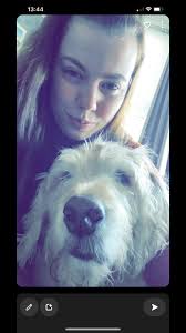 1 year ago we lost you , missing you always ❤️ #petgrief #petloss  #petlosshurts #cancersucks #dogsoftiktok #rip