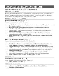business development resume (example