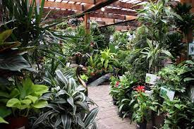 Shopping For Plants Online May Actually Help Garden Centers Here S Why Plants Garden Center Plants Online
