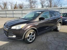 Image result for Kodiak Brown 2013 Escape