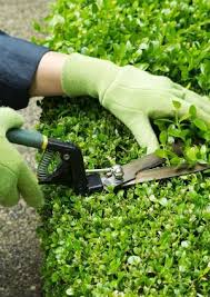 The somewhat cheaper cities include in summer, only a light maintenance cut. Pruning Shrubs Dos And Don Ts Bob Vila