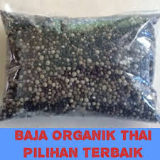 Produk utama yang selalunya pelanggan kami kami dari salma planting nursery menjual pelbagai jenis baja organik dan kimia, aneka benih dan. 1kg Baja Organik Thai Lebat Berbunga Berbuah Organic Fertilizers Shopee Singapore