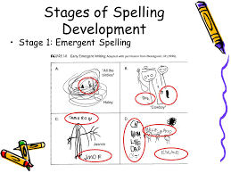 Stages Of Spelling Development Ppt Video Online Download