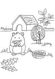 Sep 19, 2014 · allgemeine geschäftsbedingungen für käufer. Kostenlose Malvorlage Meerschweinchen Meerschweinchen Und Herzen Zum Ausmalen