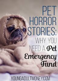 Our pet fundraising guide teaches you how to raise money to offset costly pet expenses. Pet Horror Stories Why You Need A Pet Emergency Fund Young Adult Money