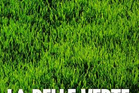 Le vrai progressisme, c'est le pluralisme et l'autogestion sans système monétaire avec une civilisation planétaire. La Belle Verte Bande Annonce Du Film Seances Streaming Sortie Avis