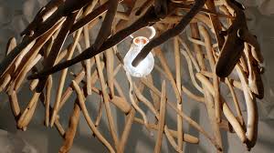 Image result for Light Driftwood 1994 Shadow