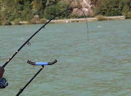 Pe dunare, daca e portiune de granita, iti trebuie permis de granita (pg) care se ia pentru fiecare judet, pe gratis (faci o cerere tip, sunt diferite de la judet la judet pentru ca si legile sunt diferite ) pe rauri locurile de pescuit se modifica odata cu inundatiile sau scaderea nivelului apei. Pescuitul La Feeder Pe Dunare Si In Delta Dunarii Pescuitul Pe Dunare