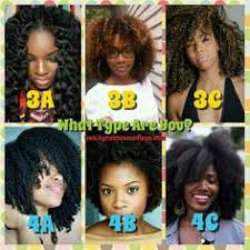 57 best hair type chart images hair type chart hair type