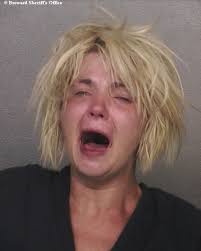 w e i r d f l o r i d a