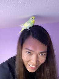 What is a suitable nickname for the C-17 Globemaster III aircraft with  serial number 06-6161?