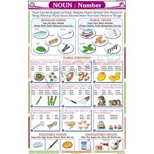 Noun Number Chart 50x75cm Nouns Number Chart Singular Nouns