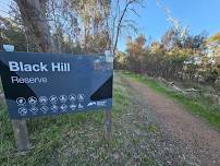 Black Hill Reserve, Kyneton — The Entomological...
