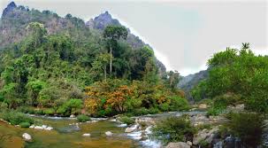 Kebun binatang taman safari bogor merupakan tempat wisata yang mengusung konsep wisata alam bebas. Xe Bang Fai River Wikipedia