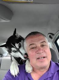 Siberian Huskies known to escape frequently