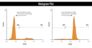 flow cytometry fundamental principle how facs works boster