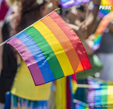 Do grego, a palavra homofobia é formado pelos termos. Mes Do Orgulho Lgbtqi Afinal Voce Sabe O Que Significa Homofobia Purebreak
