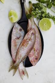 Gitano 117 Meat Restaurant Fish Beautiful Food