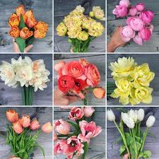 Growing a flower garden can enhance the look of your landscape, and it can provide additional income as well. Flowers Rock Steady Farm