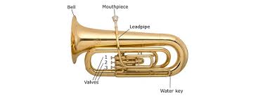 A Guide To Buying Your First Tuba John Packer