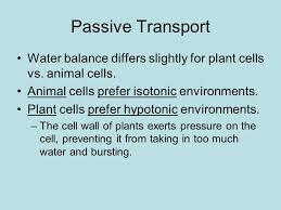 Understanding how can teach us a lot about them, and potentially a lot about us as well. Cell Membrane Chapter 5 Cell Membrane Also Known As Plasma Membrane Maintains Homeostasis Ppt Download