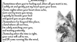 German Shepherd Alsatian Dog Flexible Fridge Magnet Featuring A Beautiful German Shepherd Alsatian With The Poem Someday Dog Poems Dog Memorial German Shepherd