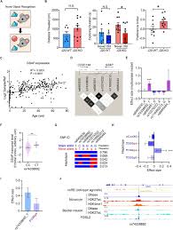 'avenue one' is an alternative rock and psychedelic band from dhaka, formerly known as 'conviction'. Gsap Regulates Mitochondrial Function Through The Mitochondria Associated Er Membrane In The Pathogenesis Of Alzheimer S Disease Biorxiv