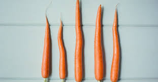 Let's review top 10 foods that increase blood circulation: 8 Foods For Your Penis S Blood Flow T Levels And Sperm Count