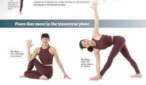 The coronal plane divides the body into front and back. Poses That Move In The Transverse Plane Pressreader