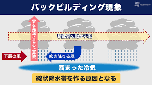 Manage your video collection and share your thoughts. é›†ä¸­è±ªé›¨ã‚'ã‚‚ãŸã‚‰ã™ç·šçŠ¶é™æ°´å¸¯ã¨ã¯ ã‚¦ã‚§ã‚¶ãƒ¼ãƒ‹ãƒ¥ãƒ¼ã‚¹