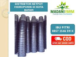 Jun 12, 2021 · the cheapest in the ph classifieds is up for just under £15,000, but i reckon it's well worth it. Promo Hp Wa 0857 2546 5914 Tray Semai Adalah Tray Semai Bibit Tray Semai Benih Hidroponik Home Depot Terpal