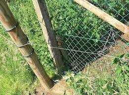 Elektrozaun Parallel Zu Geflechtzaunen Gerade Bei Den Untergrabschutznachrustungen Fur Wolfschutz Otterschutz Oder Wildschweinschutz Ben Baseball Baseball Bat