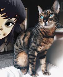 Noodle Katsu Gorillaz Gorillaz Art Monkeys Band