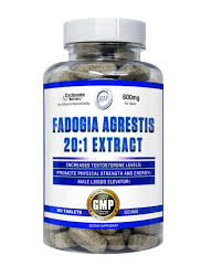 Image result for Fadogia