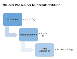 Wissenschaftlich gesprochen heißt diese phase laktogenese. Zusammensetzung Von Muttermilch Multi Mam