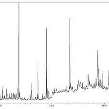 Image result for Shirakiopsis