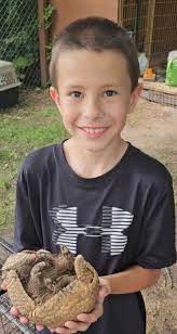 Ellis Norman Jessel Obituary