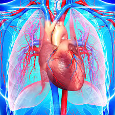 Heart failure often develops following other conditions that have impacted the heart, reducing its ability to function properly. Heart Disease Symptoms Causes Diagnosis And Treatment