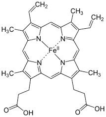 Iron Deficiency Wikipedia