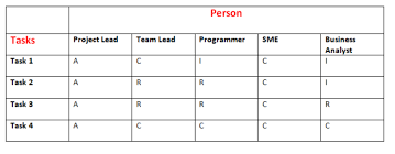 Project Management Raci Chart Pm Blog