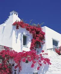 Yria boutique hotel & spa offers 61 accommodations, which are accessible via exterior corridors and feature dvd players and minibars. Paros Yria Island Boutique Hotel Spa Cosmic Hochzeitsreisen