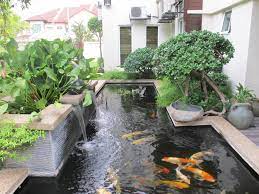 Vacuum oase pondovac 4 mesin pembersih kolam renang dan kolam ikan koi. 15 Ide Desain Kolam Ikan Minimalis Yang Kamu Pasti Suka