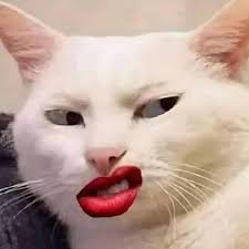 My joke-loving cat. I love you.