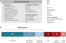 the lost language of the rna world science signaling