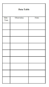 Formula For Using The Scientific Method Owlcation